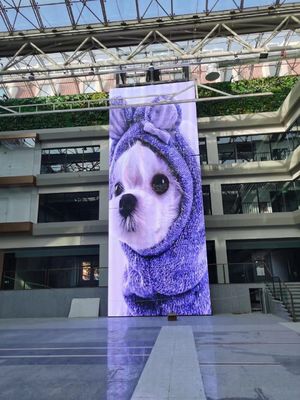 P3.9 Flexibel doorzichtig LED-scherm met hoge helderheid voor buiteninstallatie